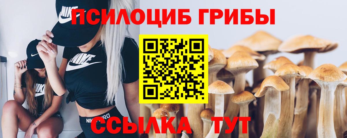 Псилоцибиновые грибы прущие грибы  где купить наркотик  Котлас  Галлюциногенные грибы ЛСД  Вход с VPN 