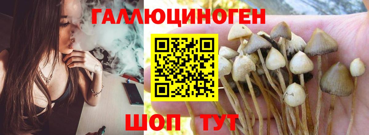Псилоцибиновые грибы GOLDEN TEACHER Котлас